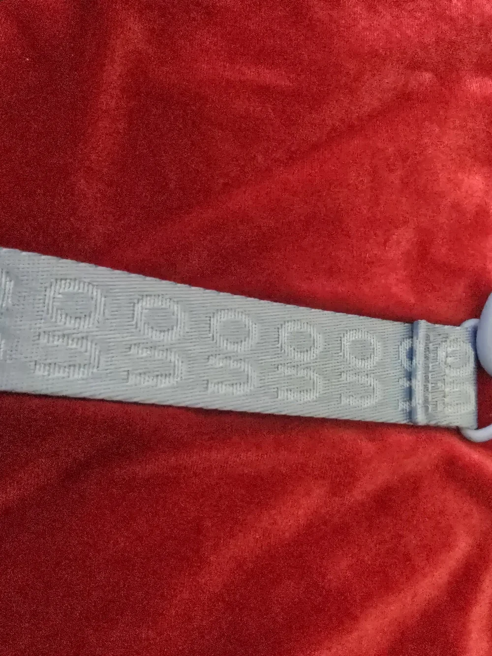 URBAN OUTFITTER Blue Silicone Carabiner Keychain Strap